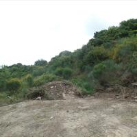 Island in Greece, Ionian Islands, Corfu, 15000 sq.m.