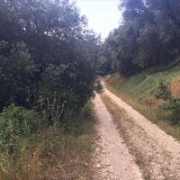 Остров в Греции, Ионические острова, Корфу, 10000 кв.м.