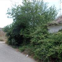 Island in Greece, Ionian Islands, Corfu, 7000 sq.m.