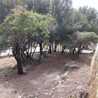 Остров в Греции, Ионические острова, Корфу, 2250 кв.м.