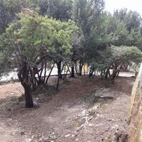 Остров в Греции, Ионические острова, Корфу, 2250 кв.м.
