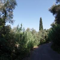 Island in Greece, Ionian Islands, Corfu, 2431 sq.m.