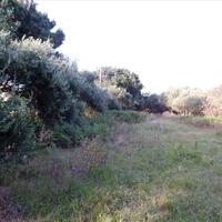 Island in Greece, Ionian Islands, Corfu, 6409 sq.m.