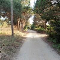 Island in Greece, Ionian Islands, Corfu, 6409 sq.m.