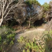 Island in Greece, Ionian Islands, Corfu, 6409 sq.m.