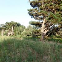 Island in Greece, Ionian Islands, Corfu, 6409 sq.m.