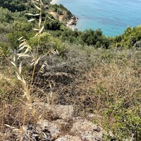 Island in Greece, Ionian Islands, Corfu, 4800 sq.m.