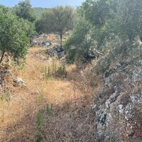 Island in Greece, Ionian Islands, Corfu, 4800 sq.m.