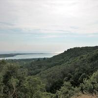 Остров в Греции, Ионические острова, Корфу, 6600 кв.м.