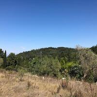 Island in Greece, Ionian Islands, Corfu, 2250 sq.m.