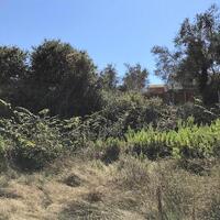 Island in Greece, Ionian Islands, Corfu, 2250 sq.m.