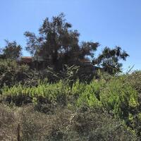 Island in Greece, Ionian Islands, Corfu, 2250 sq.m.