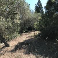 Island in Greece, Ionian Islands, Corfu, 2250 sq.m.