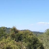 Island in Greece, Ionian Islands, Corfu, 2250 sq.m.