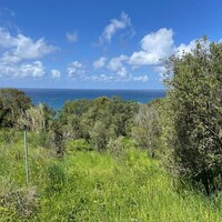 Island in Greece, Ionian Islands, Corfu, 9150 sq.m.