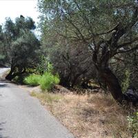 Island in Greece, Ionian Islands, Corfu, 9150 sq.m.