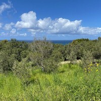 Island in Greece, Ionian Islands, Corfu, 9150 sq.m.