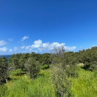Island in Greece, Ionian Islands, Corfu, 9150 sq.m.