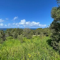 Island in Greece, Ionian Islands, Corfu, 9150 sq.m.