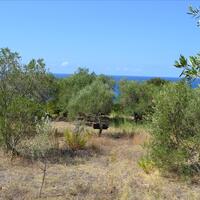 Island in Greece, Ionian Islands, Corfu, 9150 sq.m.