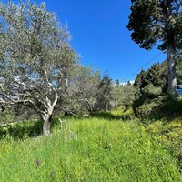 Island in Greece, Ionian Islands, Corfu, 9150 sq.m.