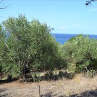 Island in Greece, Ionian Islands, Corfu, 9150 sq.m.