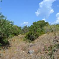 Island in Greece, Ionian Islands, Corfu, 9150 sq.m.