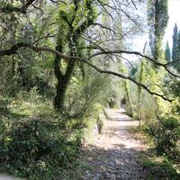 Island in Greece, Ionian Islands, Corfu, 20700 sq.m.