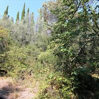 Island in Greece, Ionian Islands, Corfu, 20700 sq.m.
