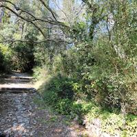 Island in Greece, Ionian Islands, Corfu, 20700 sq.m.