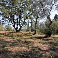Island in Greece, Ionian Islands, Corfu, 20700 sq.m.