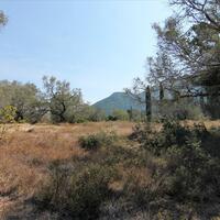 Island in Greece, Ionian Islands, Corfu, 20700 sq.m.