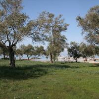 Island in Greece, Ionian Islands, Corfu, 21083 sq.m.