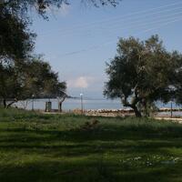 Island in Greece, Ionian Islands, Corfu, 21083 sq.m.