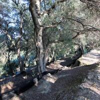 Island in Greece, Ionian Islands, Corfu, 3700 sq.m.