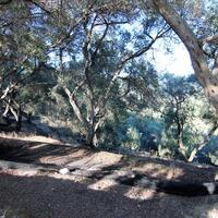 Island in Greece, Ionian Islands, Corfu, 3700 sq.m.