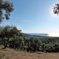 Island in Greece, Ionian Islands, Corfu, 3700 sq.m.