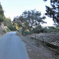 Island in Greece, Ionian Islands, Corfu, 4000 sq.m.
