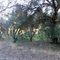 Island in Greece, Ionian Islands, Corfu, 4000 sq.m.