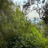 Island in Greece, Ionian Islands, Corfu, 1222 sq.m.