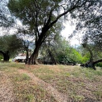 Island in Greece, Ionian Islands, Corfu, 1222 sq.m.