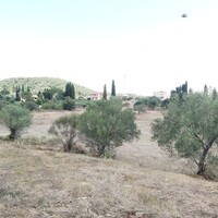 Island in Greece, Ionian Islands, Corfu, 8700 sq.m.