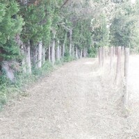Island in Greece, Ionian Islands, Corfu, 8700 sq.m.