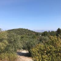 Island in Greece, Ionian Islands, Corfu, 4000 sq.m.
