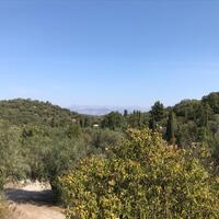 Island in Greece, Ionian Islands, Corfu, 4000 sq.m.