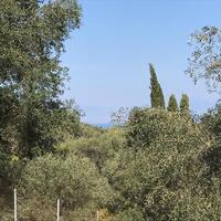 Island in Greece, Ionian Islands, Corfu, 4000 sq.m.