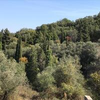 Island in Greece, Ionian Islands, Corfu, 4000 sq.m.