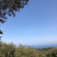 Island in Greece, Ionian Islands, Corfu, 6000 sq.m.