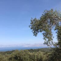 Island in Greece, Ionian Islands, Corfu, 6000 sq.m.