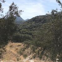 Island in Greece, Ionian Islands, Corfu, 6000 sq.m.